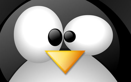 Linux中shell进阶版
